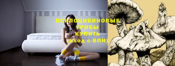 эйфоретик Осинники