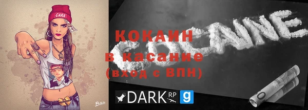 шишки Осташков
