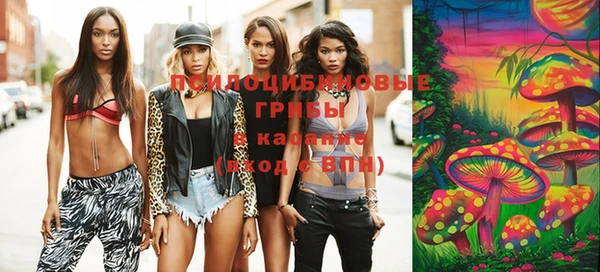 эйфоретик Осинники