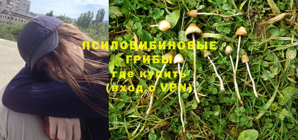 эйфоретик Осинники