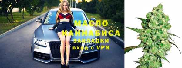 шишки Осташков