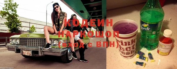 шишки Осташков