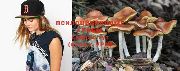 Альфа ПВП Нягань