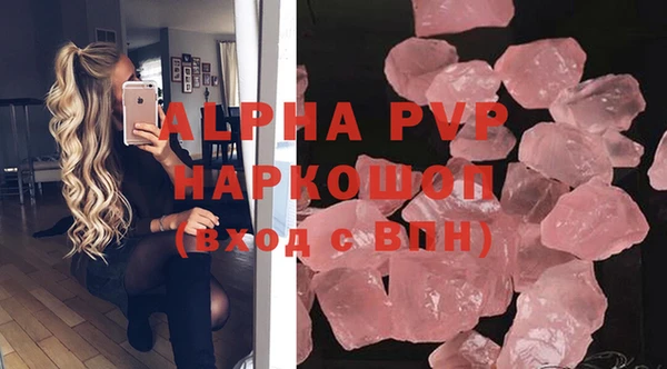шишки Осташков