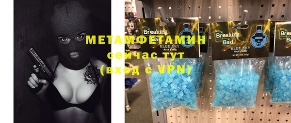 шишки Осташков