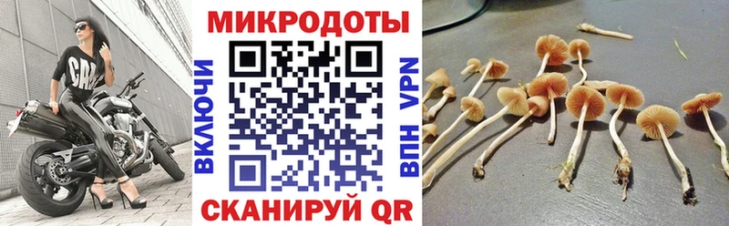 Псилоцибиновые грибы Magic Shrooms  сколько стоит  Сарапул 