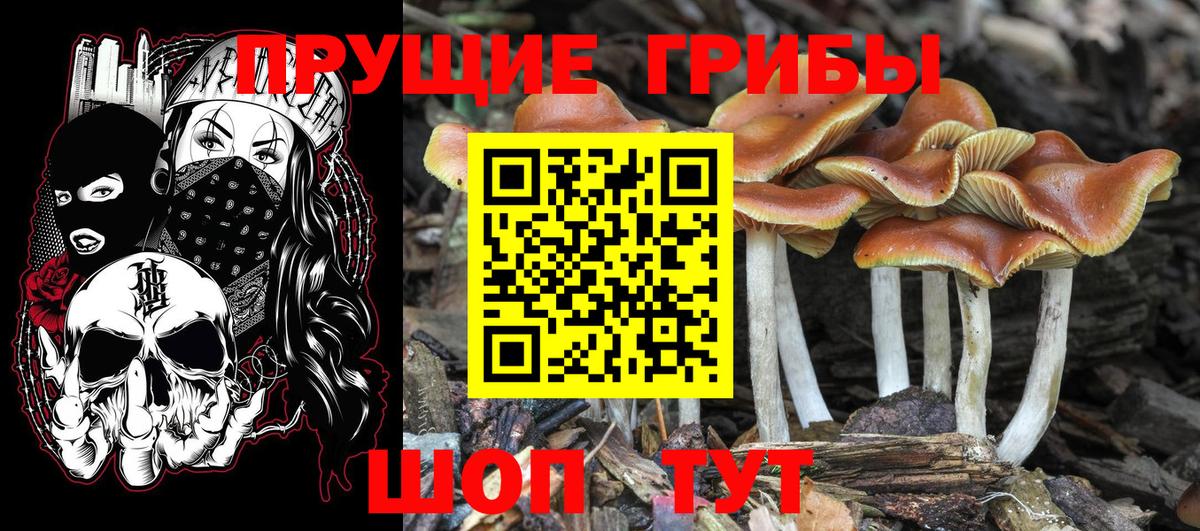 Псилоцибиновые грибы MAGIC MUSHROOMS  Сарапул 