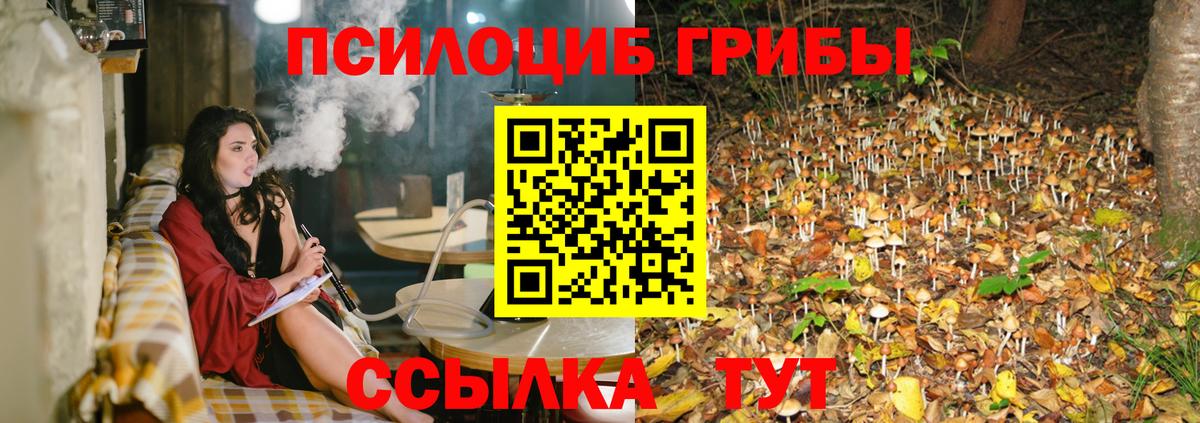 Сарапул  Псилоцибиновые грибы прущие грибы  Вход с VPN 